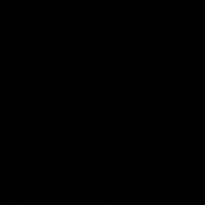 Meet your Posher, Bridget